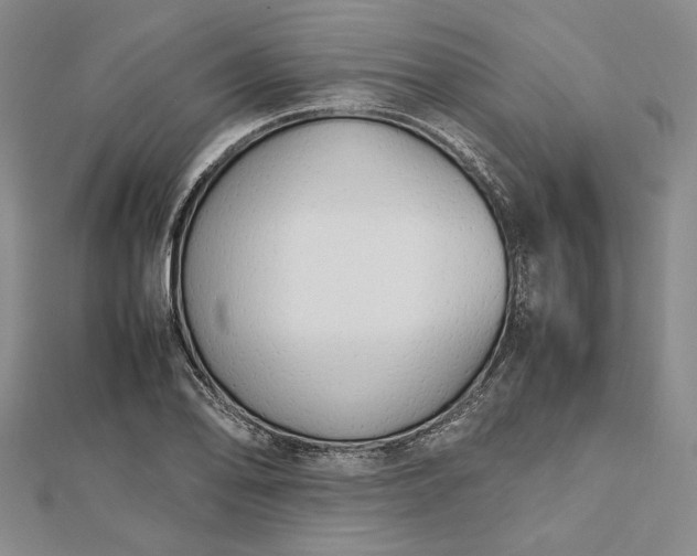 X0000112471078200908311345