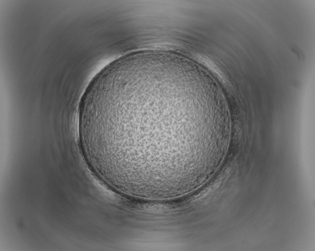 X0000112471079200908311345