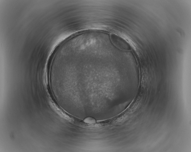 X0000112471080200908311345