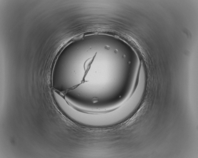 X0000112471081200908311345