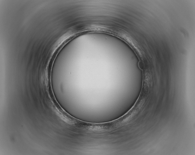 X0000112471082200908311345