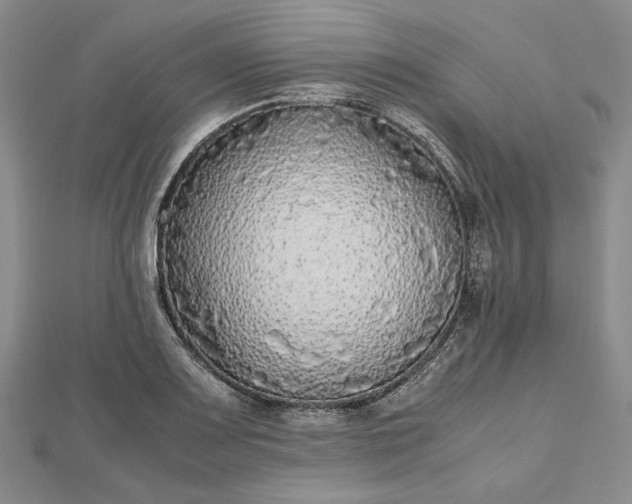 X0000112471083200908311345