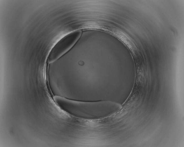 X0000112471084200908311345