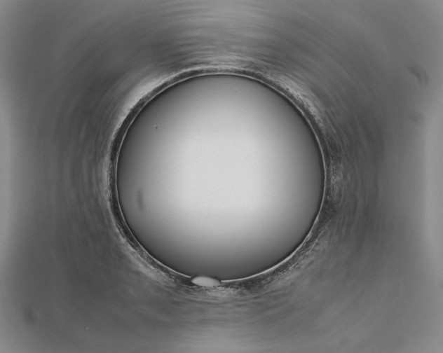 X0000112471085200908311345