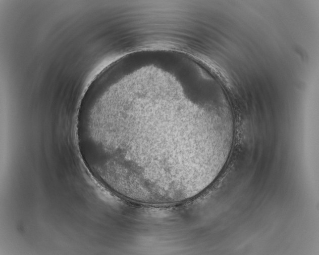 X0000112471086200908311345