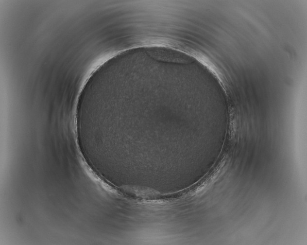 X0000112471088200908311345