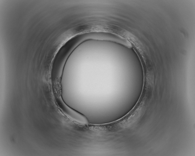 X0000112471089200908311345