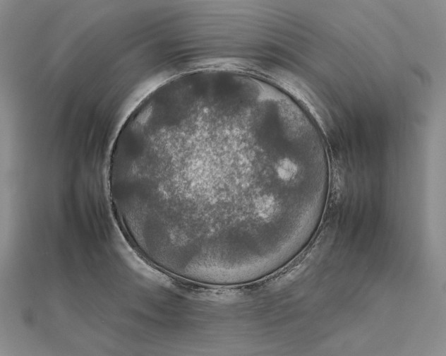 X0000112471090200908311345