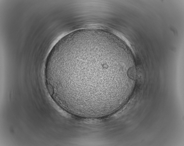 X0000112471091200908311345