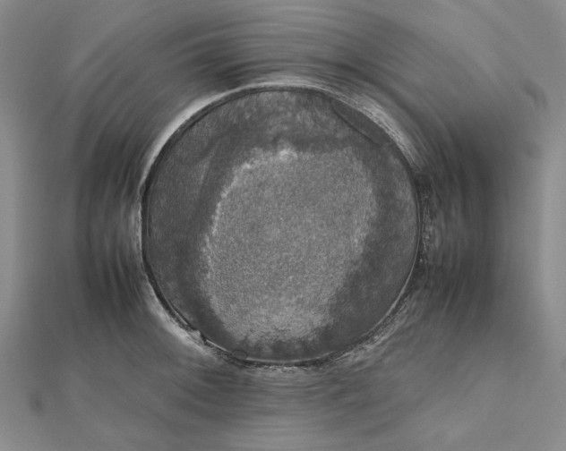 X0000112471092200908311345