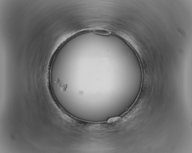 X0000112471093200908311345