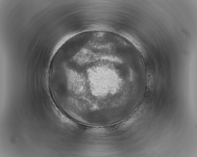 X0000112471094200908311345