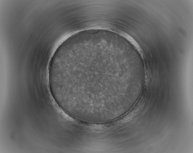 X0000112471096200908311345