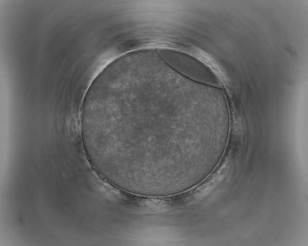 X0000112471097200908311345