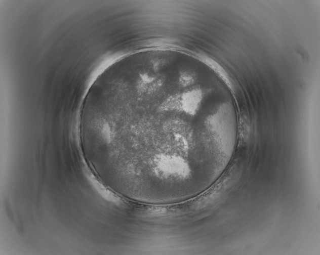 X0000112471098200908311345