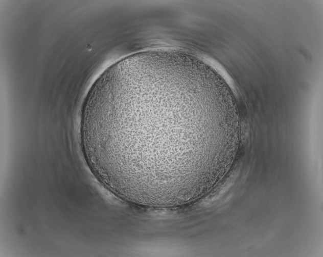 X0000112471099200908311345