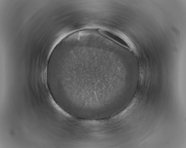 X0000112471100200908311345