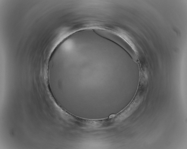 X0000112471101200908311345