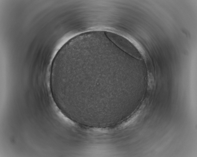 X0000112471102200908311345