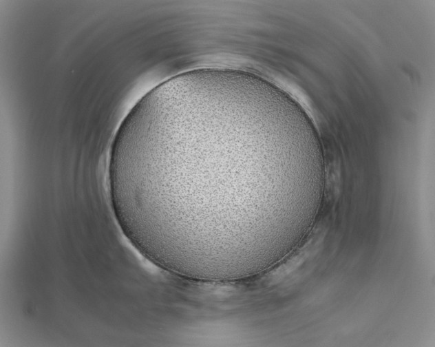 X0000112471103200908311345