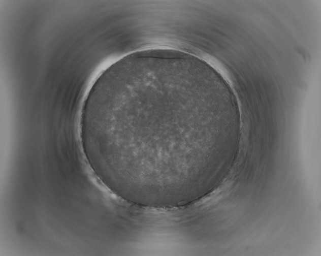 X0000112471104200908311345