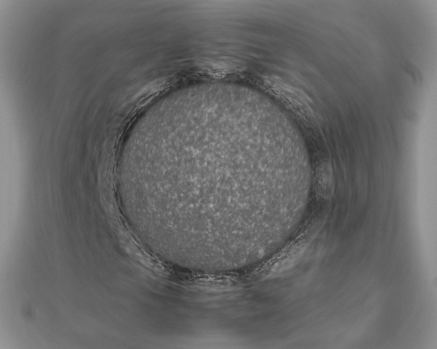 X0000112471105200908311344