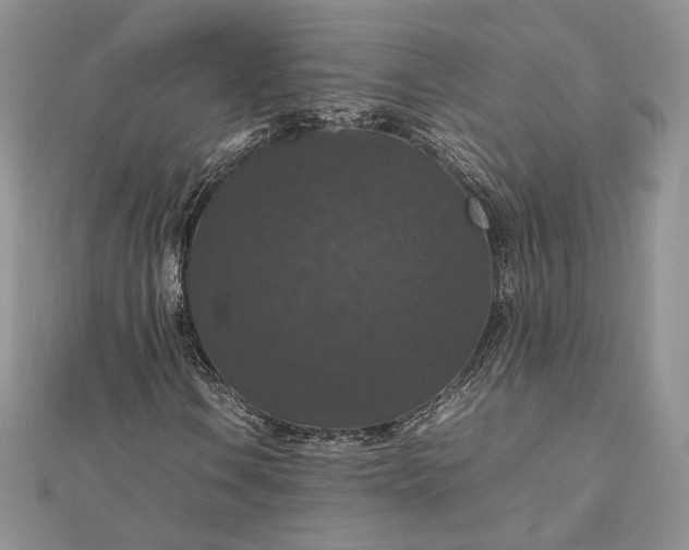 X0000112471106200908311344