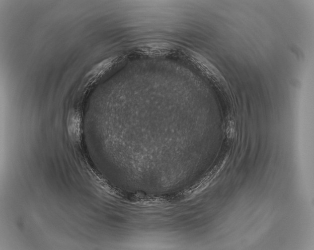 X0000112471108200908311344