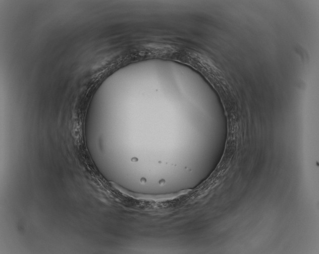 X0000112471109200908311344