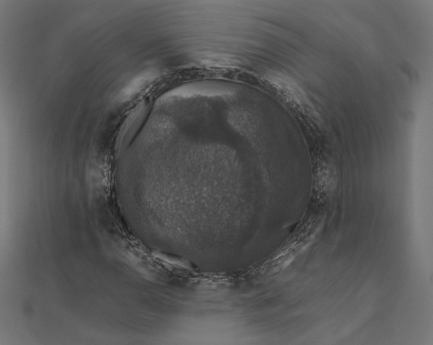 X0000112471110200908311344