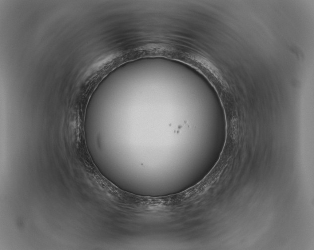 X0000112471111200908311344