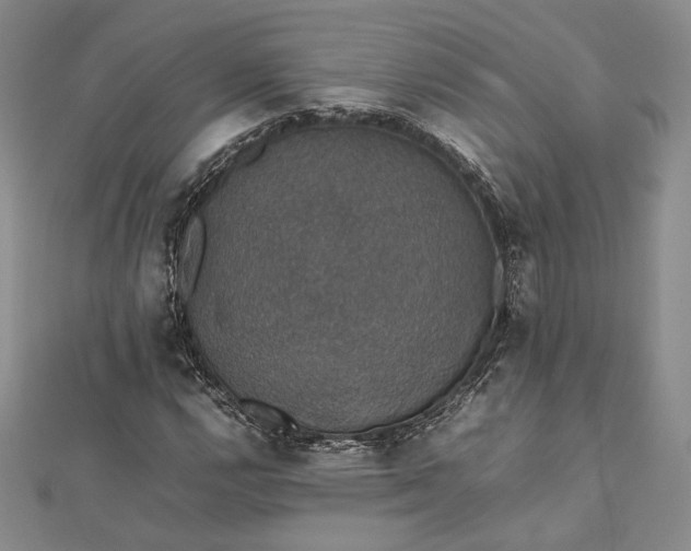 X0000112471112200908311344