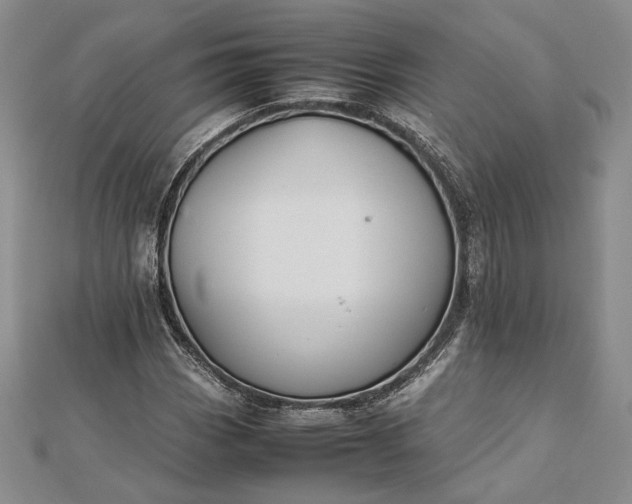 X0000112471113200908311344