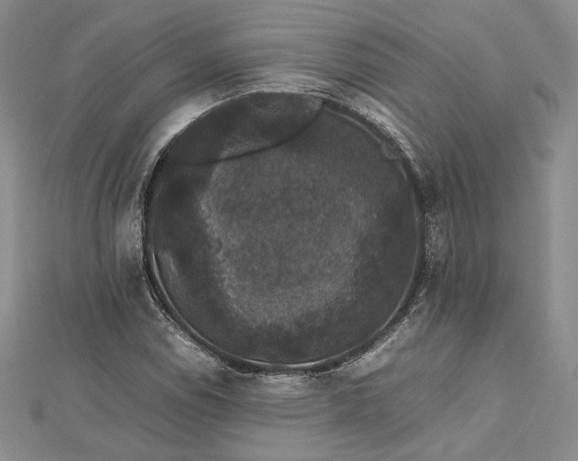 X0000112471114200908311344