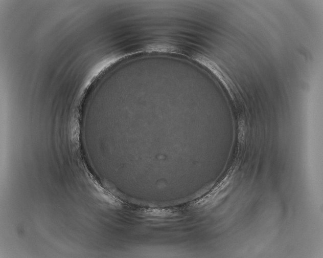 X0000112471115200908311344