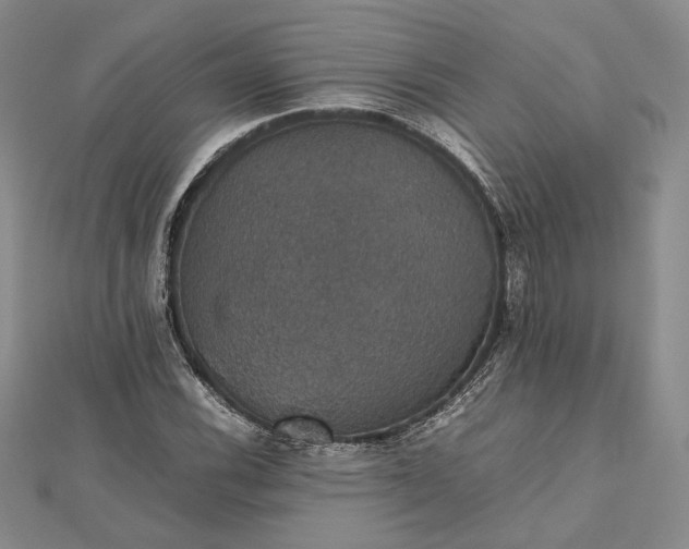 X0000112471116200908311344