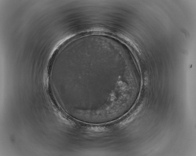 X0000112471117200908311344