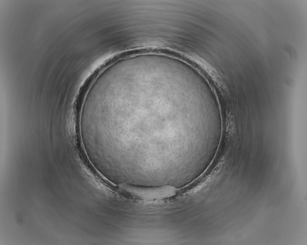 X0000112471118200908311344