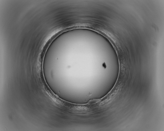 X0000112471119200908311344