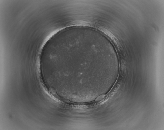 X0000112471120200908311344