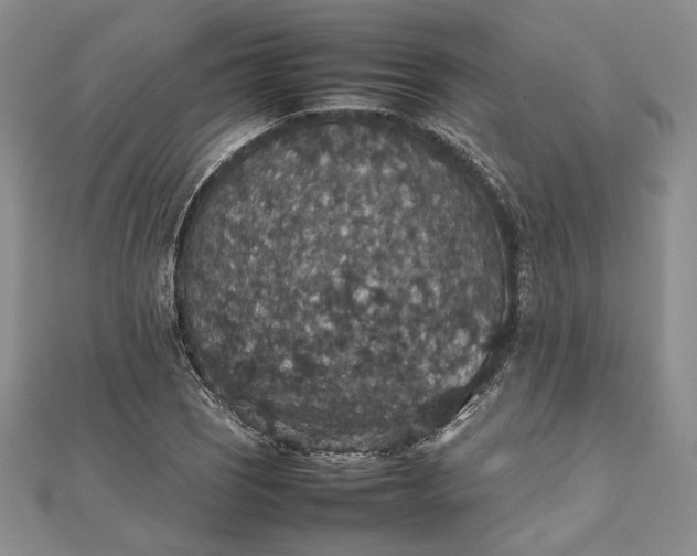 X0000112471121200908311344