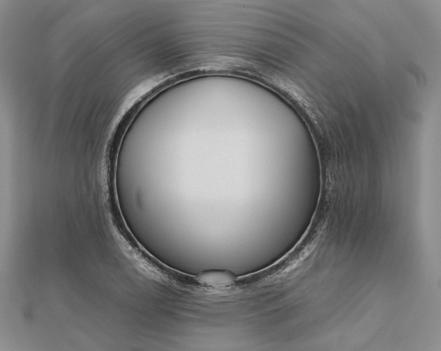 X0000112471122200908311344