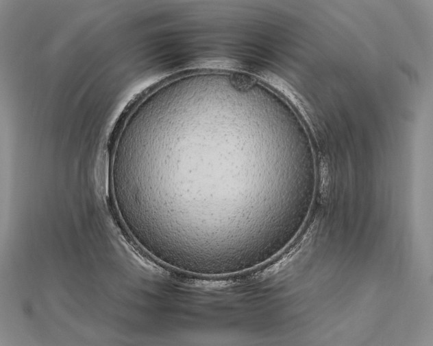 X0000112471123200908311344