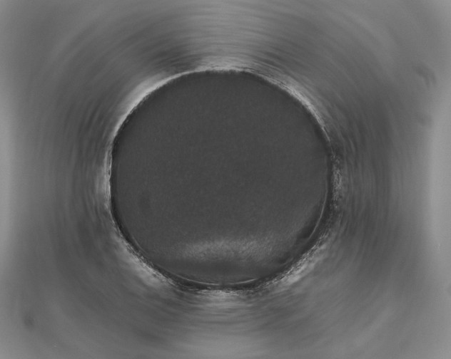 X0000112471124200908311344