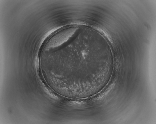 X0000112471125200908311344