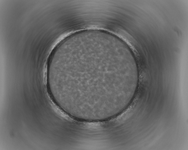 X0000112471126200908311344