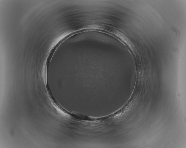 X0000112471127200908311344