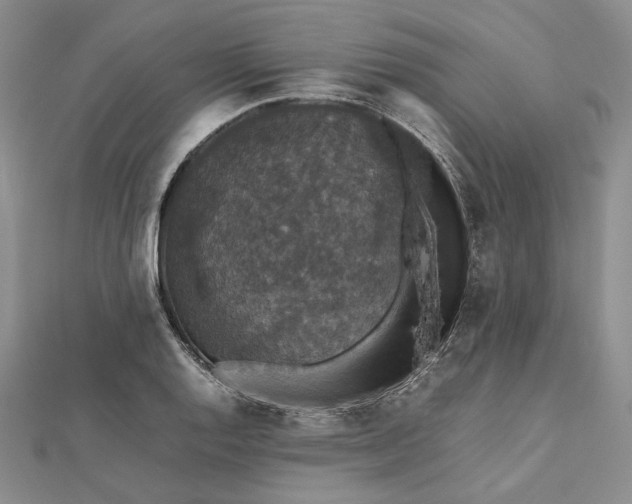 X0000112471128200908311344