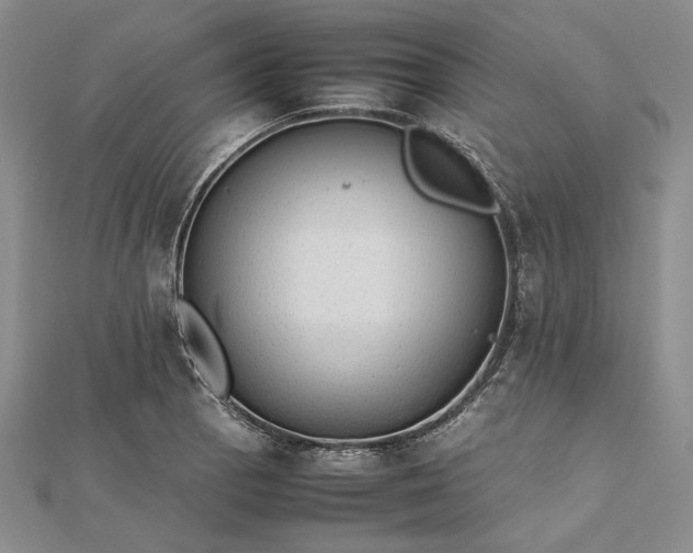 X0000112471129200908311344