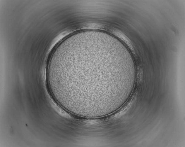 X0000112471130200908311344